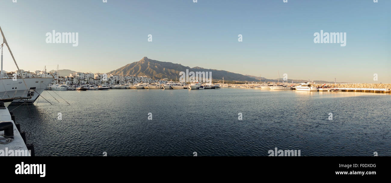 representante Verter cesar El lujoso puerto deportivo de Puerto Banús en Marbella con La Concha en  segundo plano. Andalucía, España Fotografía de stock - Alamy