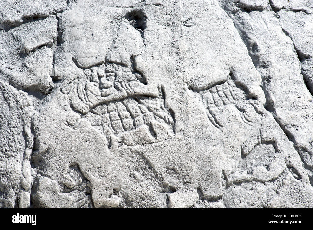 Obras de arte primitivo en una roca, animales y símbolos en piedra blanca Foto de stock