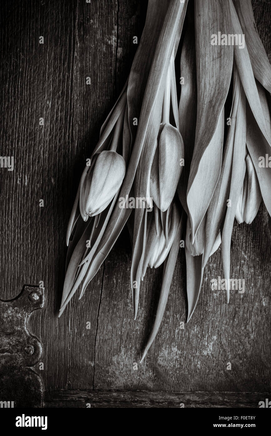 Bodegón con flores de tulipán en superficie de madera vieja Foto de stock