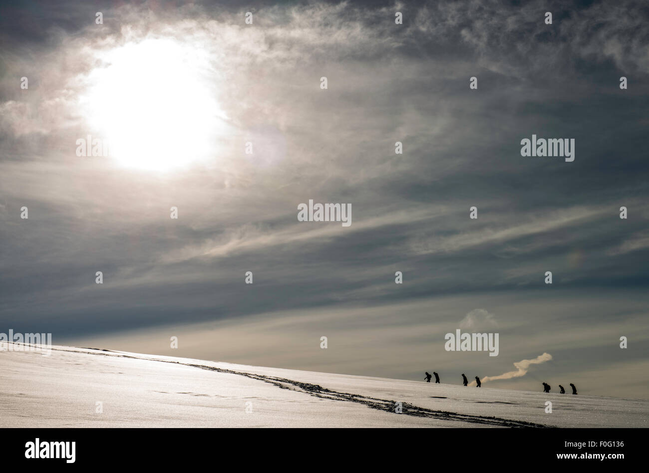 La gente caminando en la nieve afueras de Tromso, Noruega Escandinavia Foto de stock