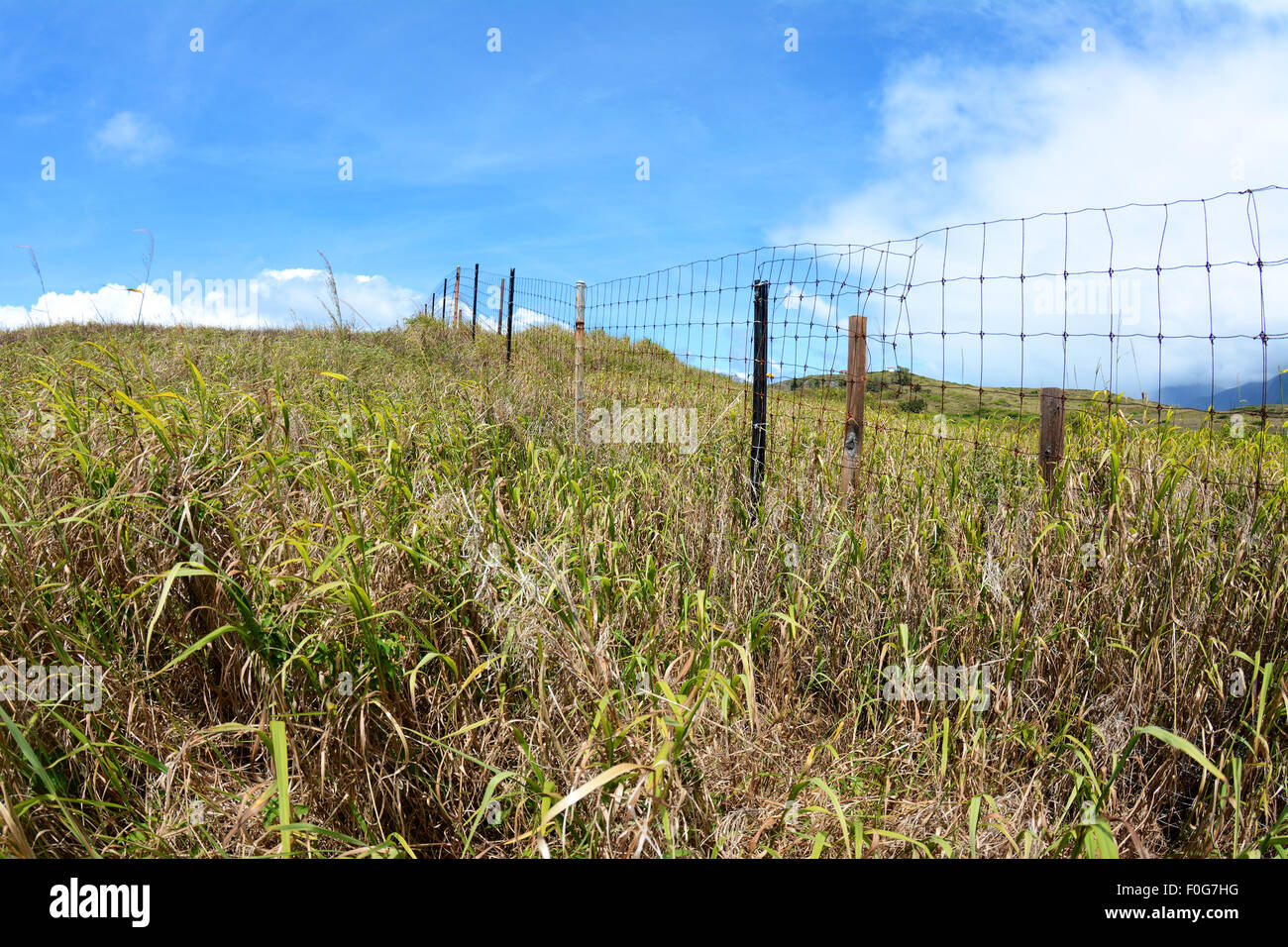 Una valla de alambre en un campo de hierba crea un límite para impedir que el ganado de vagar lejos de una granja. Foto de stock