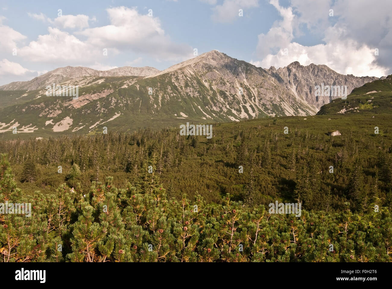Picos de Tatry Mts. de Dolina Gasienicowa valley Foto de stock