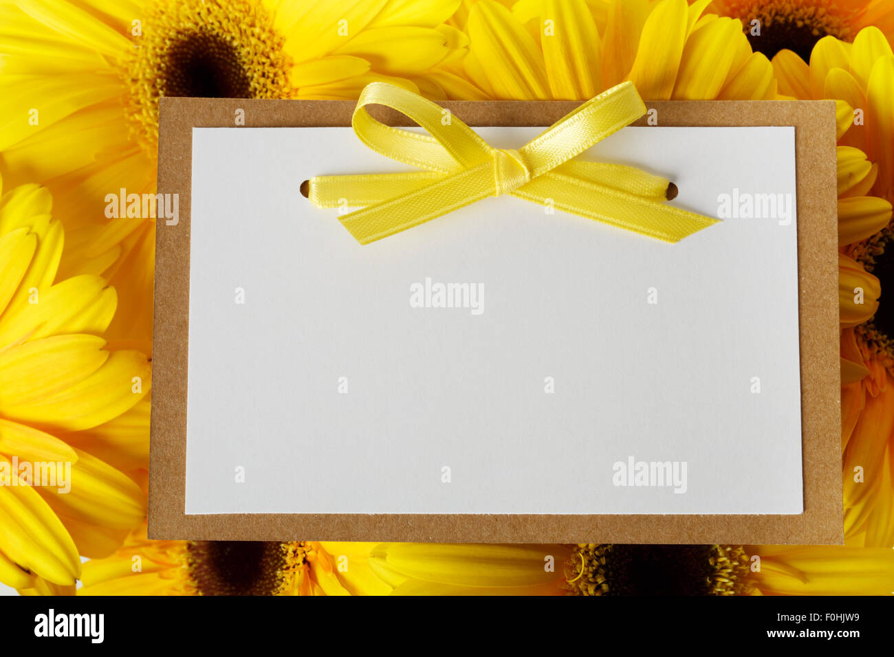 Tarjeta de mensaje en blanco con bonitas gerberas amarillas Foto de stock