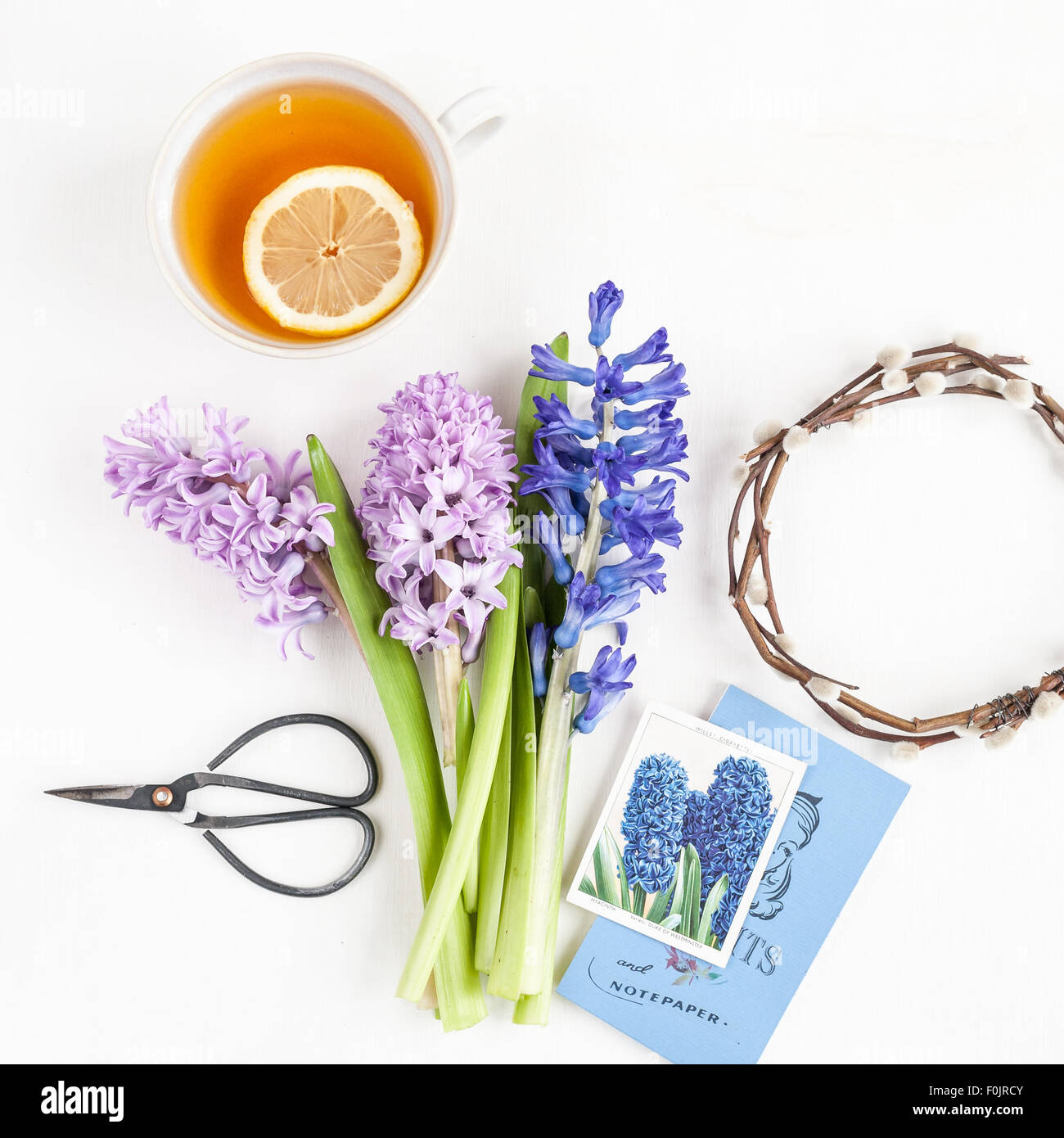 Un simple bodegón de jacintos, taza de té, Tijeras de jardinería, corona, tarjeta y cuaderno Foto de stock