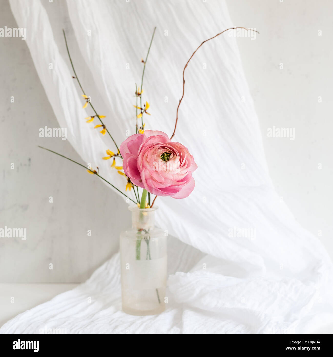 Un simple arreglo de rosa y amarillo clooney ranunculus genista con ramita willo trenzado Foto de stock