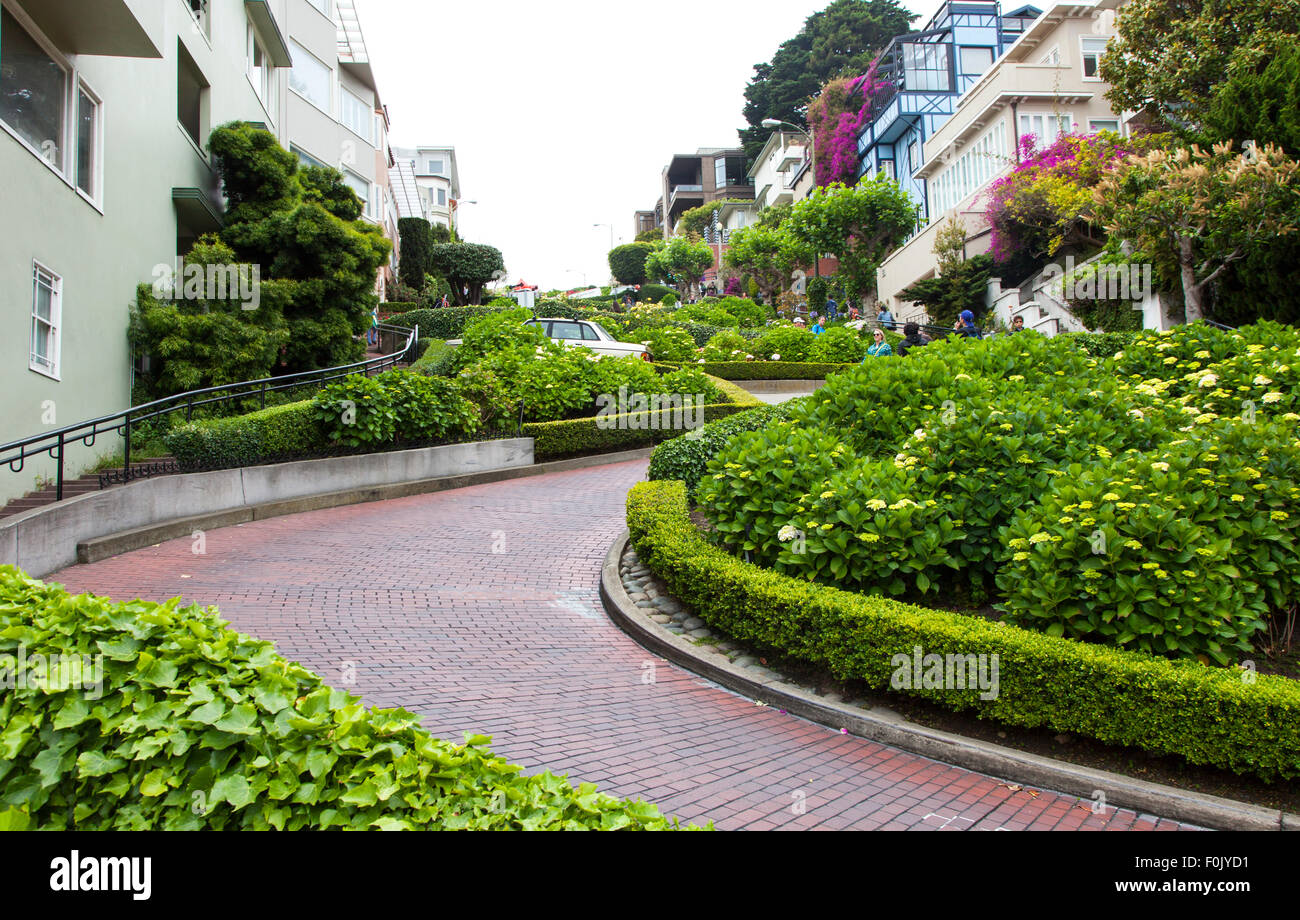 La famosa calle Lombard Street en San Francisco, California, EE.UU. Foto de stock