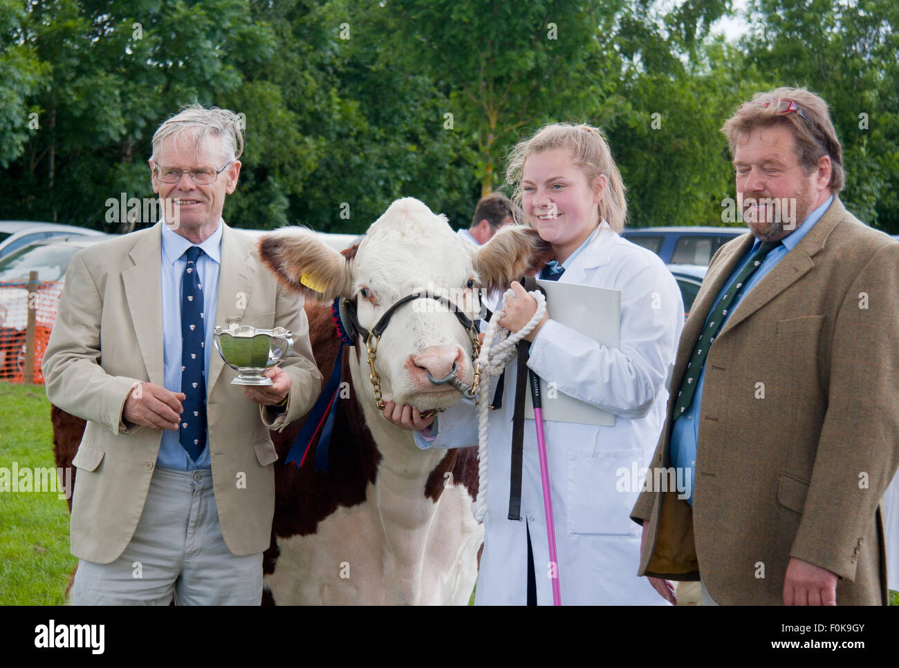 Taza premiado por un premio bull en Bury Show agrícola en Lancashire, Reino Unido. Foto de stock