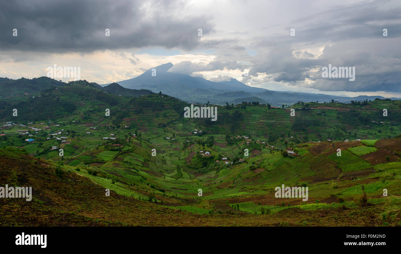 Las montañas Virunga, Uganda, África Foto de stock