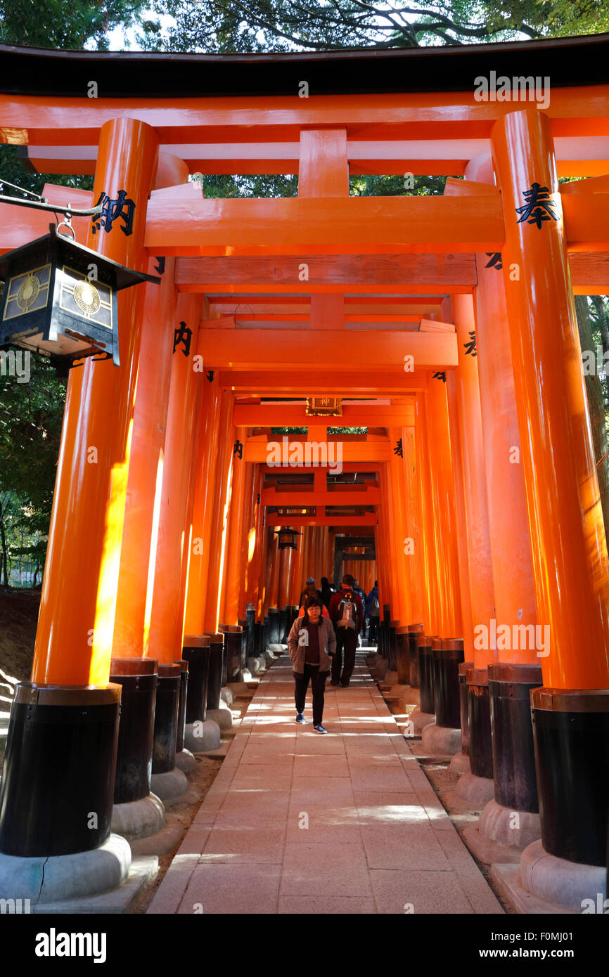 Senbon Torii 1 000 Torii Gates Fushimi Inari Taisha Shrine Kyoto Japon Asia Fotografia De Stock Alamy