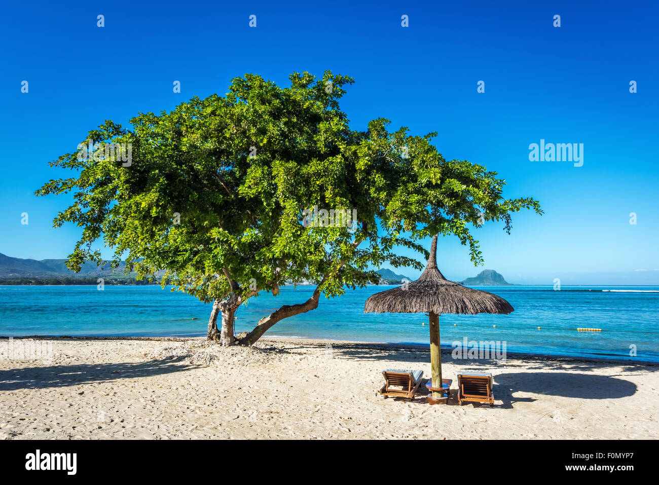 Playa de arena blanca con tumbonas y una sombrilla en la Isla Mauricio, el Océano Índico Foto de stock