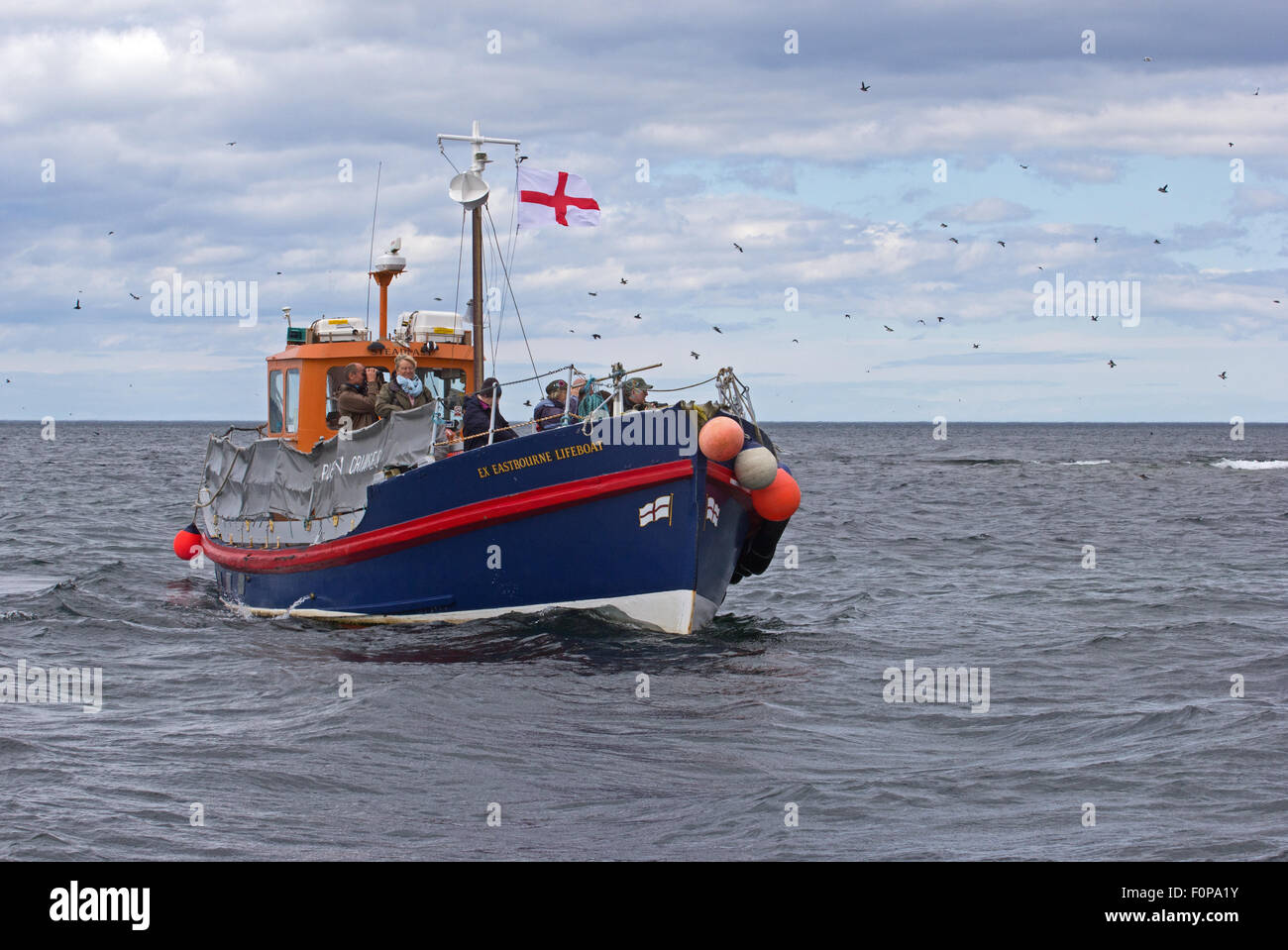 Los turistas de viaje en barco off Coquet Island, deambular, Northumberland Foto de stock