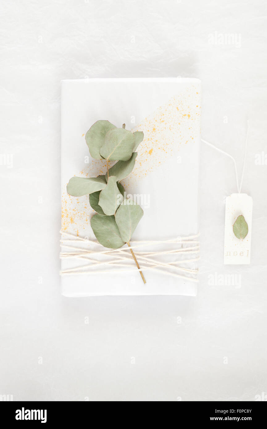 Envoltorio para regalo simple idea con un pañuelo de papel blanco salpicado con pintura de oro decorado con hilo y una ramita de eucalipto Foto de stock