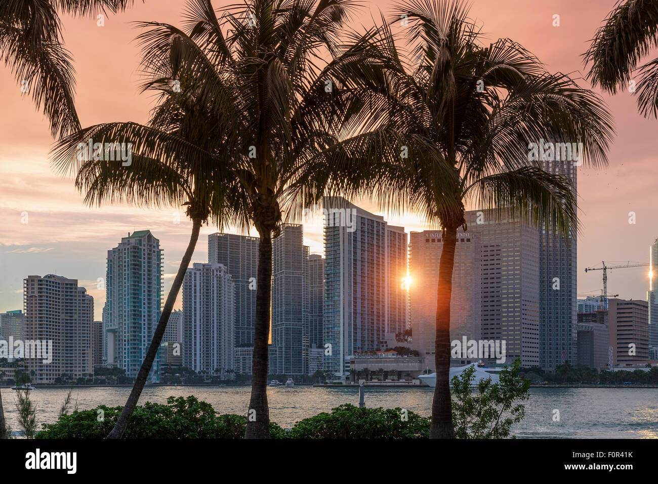 La ciudad de Miami, Florida al atardecer Foto de stock