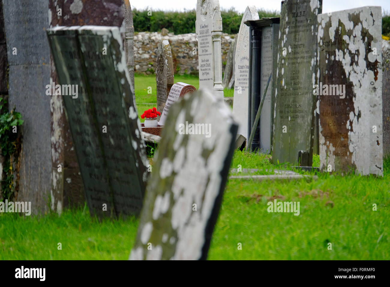 Flores rojas en una tumba en un cementerio galés Foto de stock