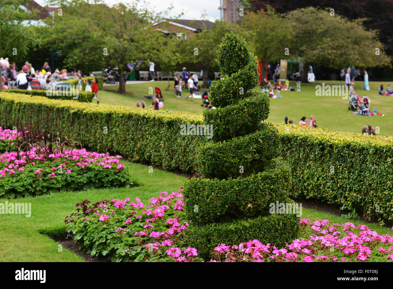 Una espiral arbustos situados en Birmingham Botanical Gardens. Foto de stock