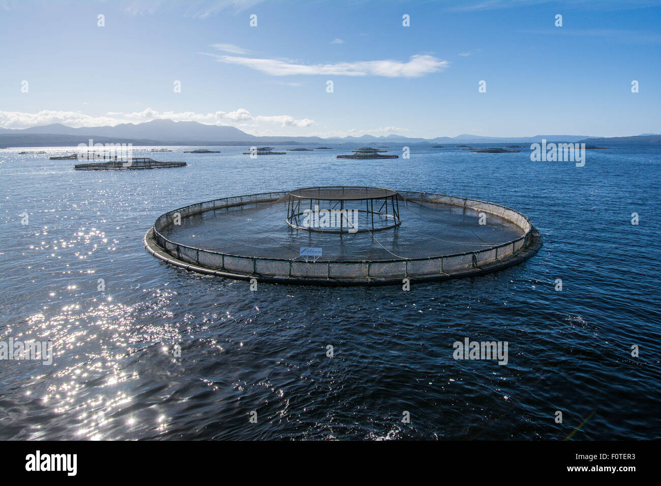 La agricultura, la piscicultura del salmón atlántico Macquarie Harbour, Tasmania, Australia Foto de stock