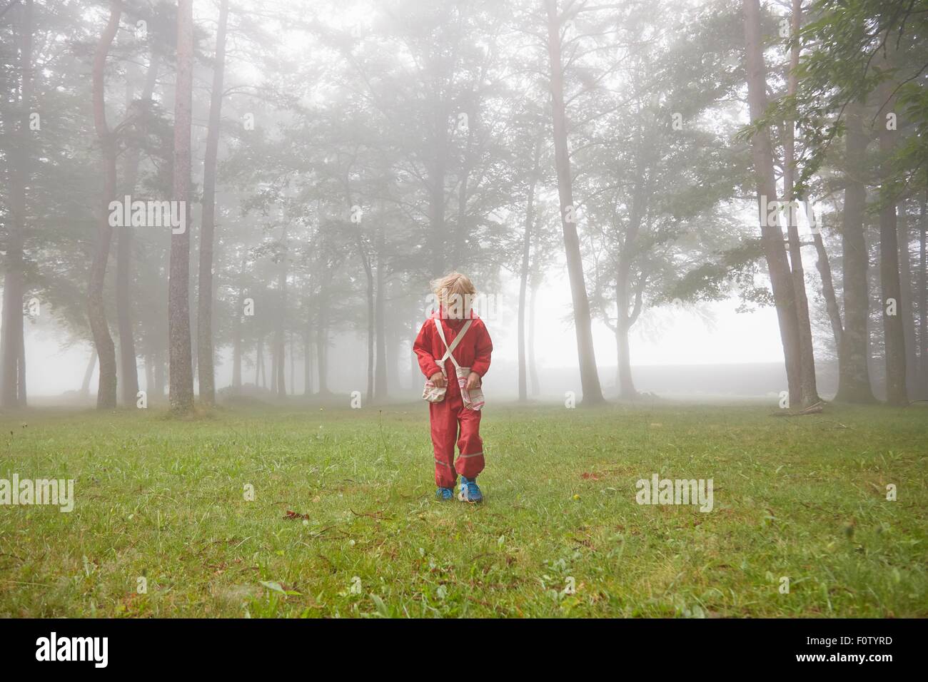 Boy vestidos de rojo impermeable, buscando en el brumoso paisaje Foto de stock