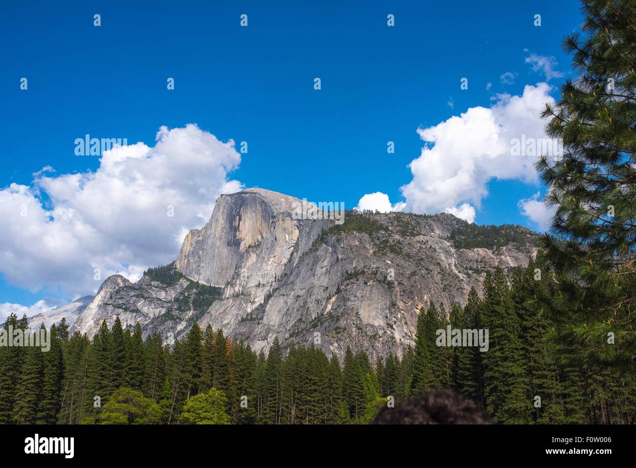 Vista de mounain Bosque, Parque Nacional Yosemite, California, EE.UU. Foto de stock