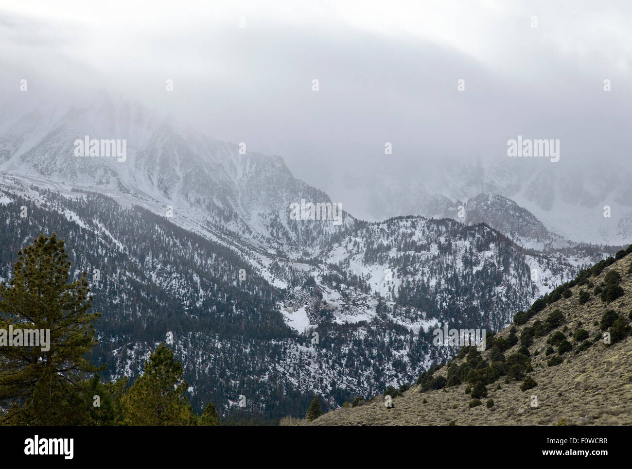 Tormenta de nieve cierra el Tioga Pass, la carretera 120, en el parque de Yosemite, CA, 2015. Foto de stock