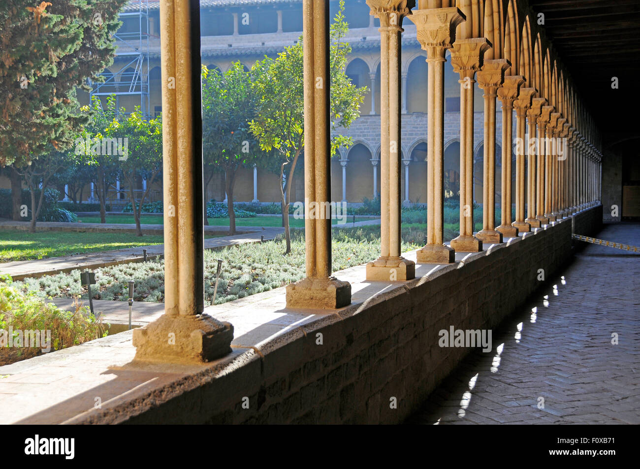Patio con jardín en el monasterio de Pedralbes, en Barcelona, España Foto de stock