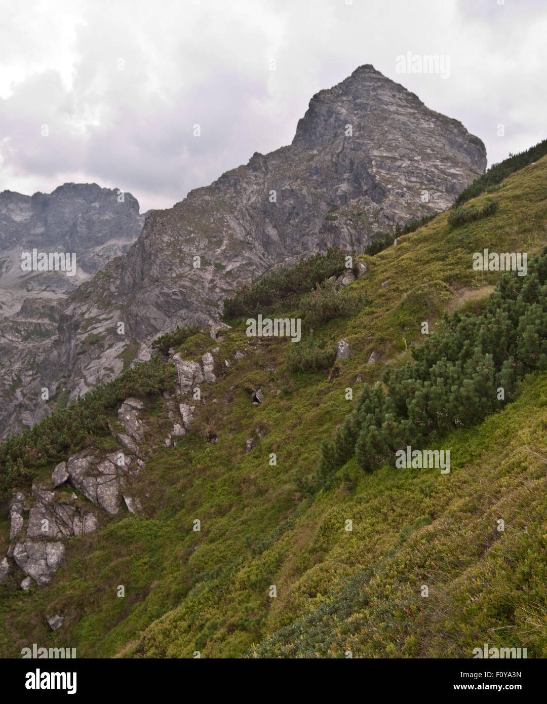 Pico Koscielec en Tatra Foto de stock
