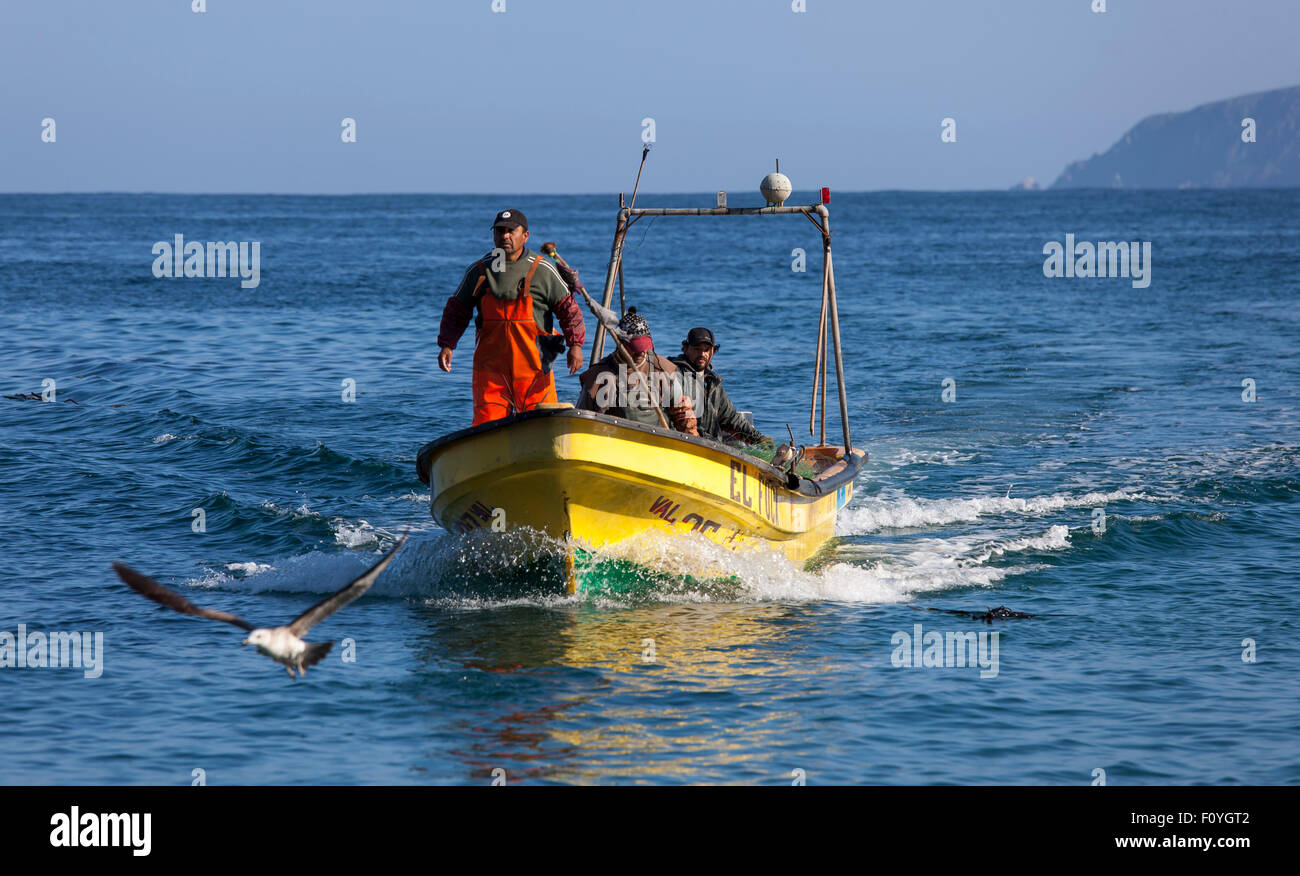 Los pescadores en bote en Quintay, Chile Foto de stock