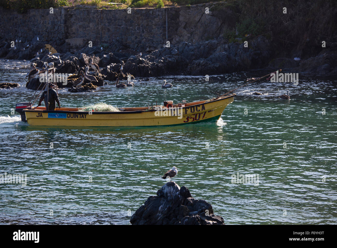 Pescador en el barco, Quintay, Chile Foto de stock