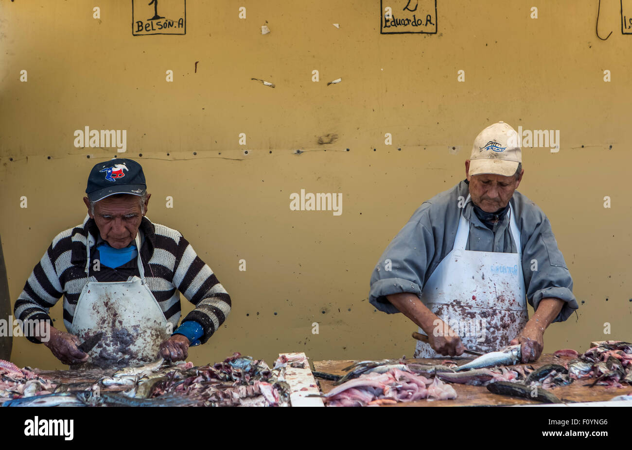Los pescadores en el mercado de pescado, Caleta Portales, Valparaíso, Chile Foto de stock