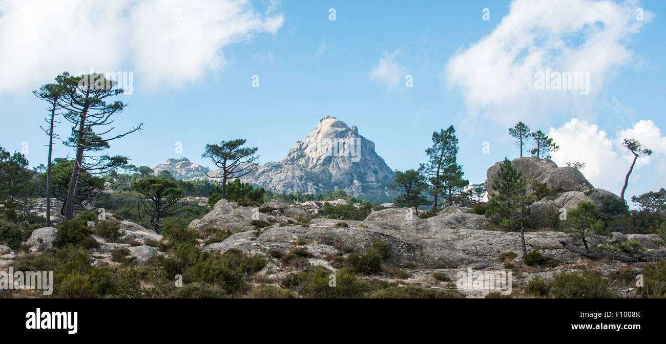 Sendero de Piscia di Gallo, paisaje de montaña con Punta di u Diamante, Ospedale, Alta Rocca, Córcega, Francia Foto de stock