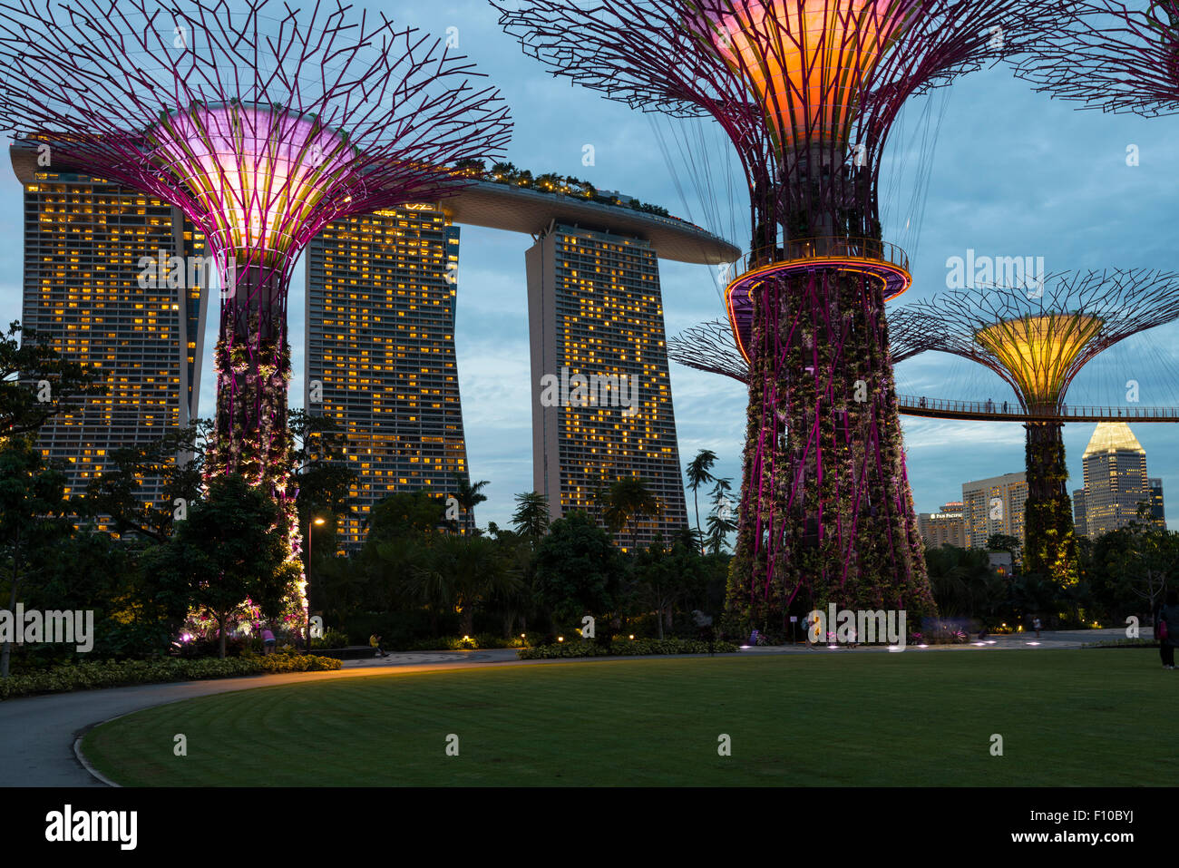 Supertree Grove y Marina Bay Sands, Singapur Foto de stock