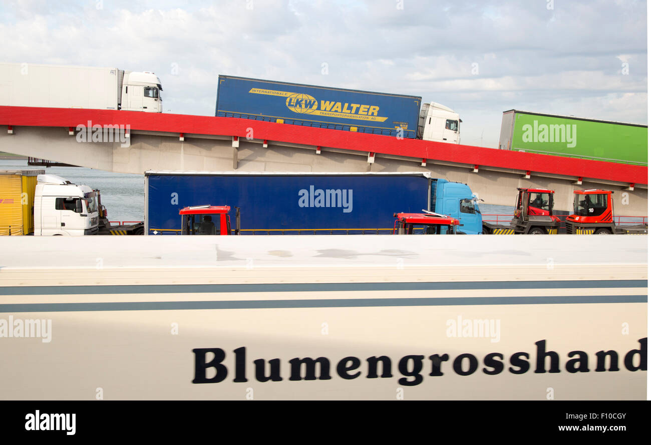 Los vehículos de carga pesados desembarco de Stena Lines ferry, gancho de Holanda, Países Bajos Foto de stock
