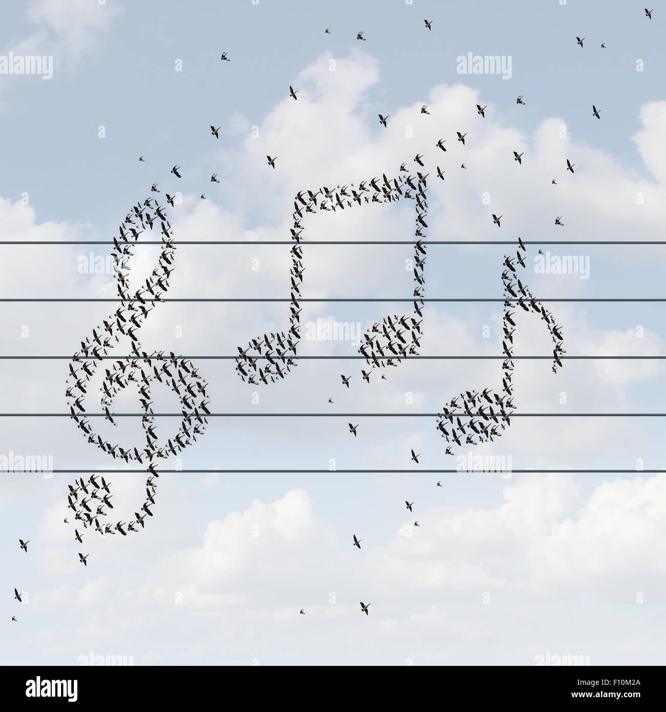 Concepto de música grabada y símbolo de distribución multimedia como pájaros volando juntos en forma de notas musicales como una metáfora para disfrutar de una melodía o distribución de canciones en Internet o en la radio con una línea de servicio inalámbrico. Foto de stock