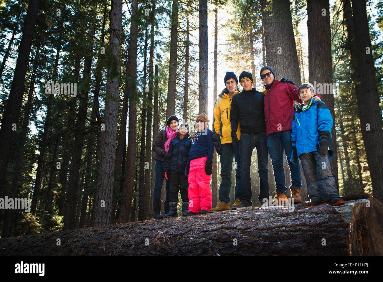 Familia en registro permanente en el bosque remoto Foto de stock