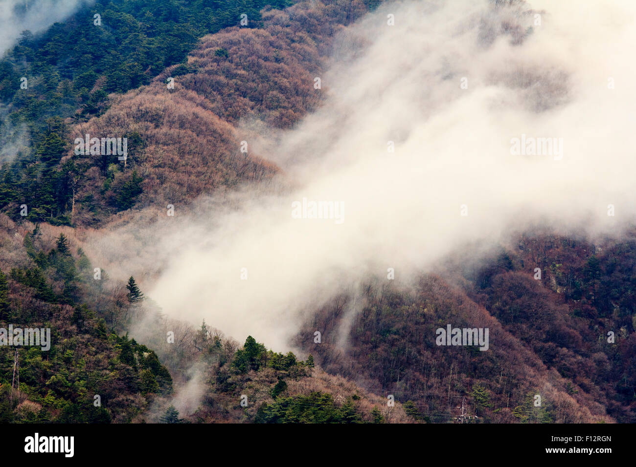 Tsumago, Japón. Las malas condiciones meteorológicas. Vista de teleobjetivo de montañas boscosas con grises tenues nubes flotan sobre y a través de los árboles. Foto de stock