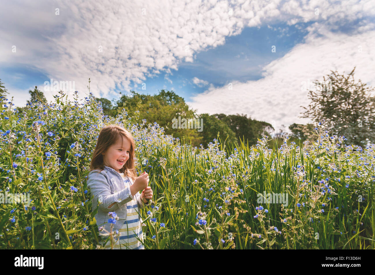 Chica sonriente recogiendo flores en el campo Foto de stock