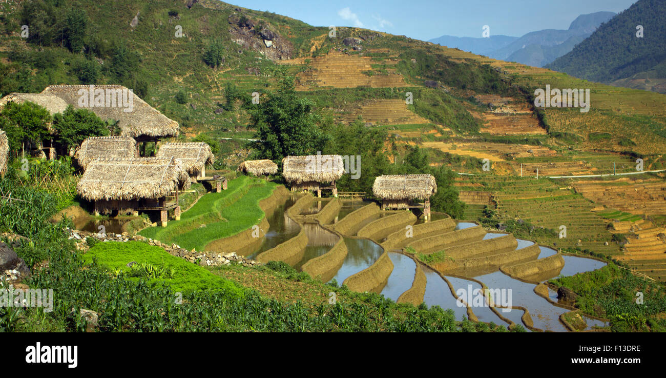 Cabañas con techos de paja y las terrazas de arroz, SAPA, Vietnam Foto de stock