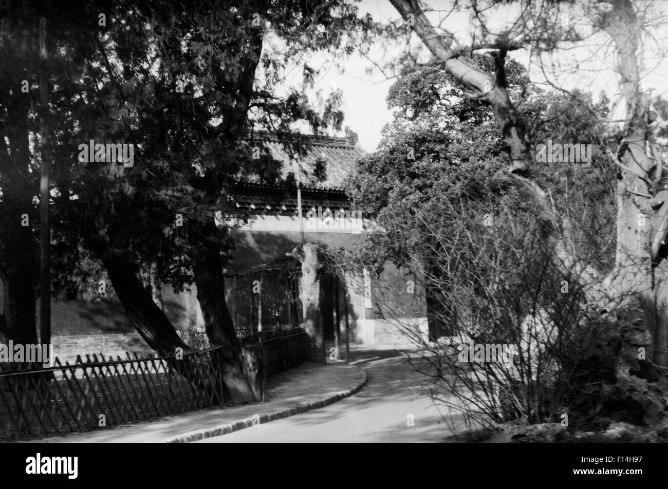 1920 1930 Jardín en el Palacio de la Ciudad Prohibida de Pekín Pekín, China Foto de stock