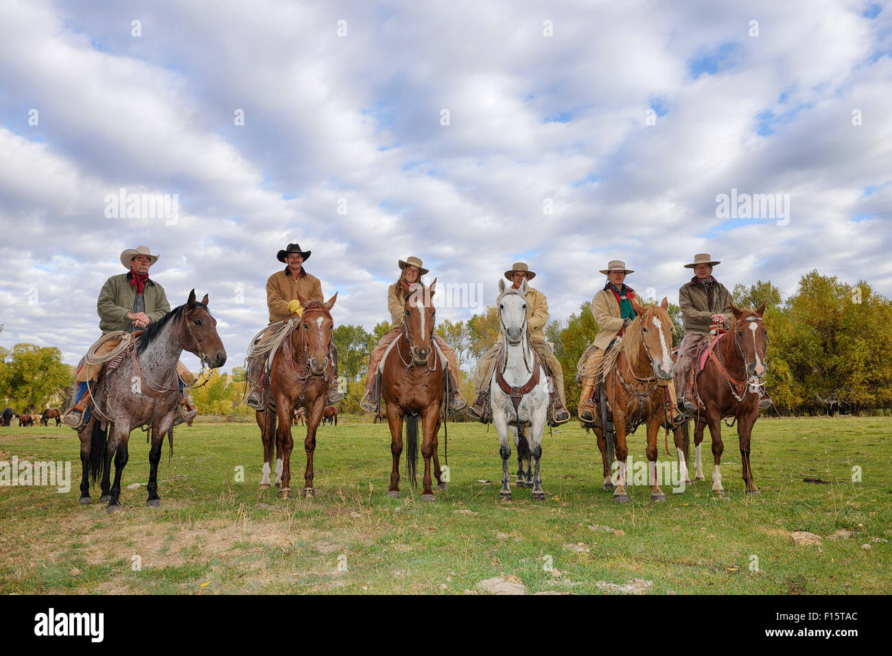 Cowboys y cowgirls en una fila sentado sobre sus caballos, Shell, Wyoming,  EE.UU Fotografía de stock - Alamy