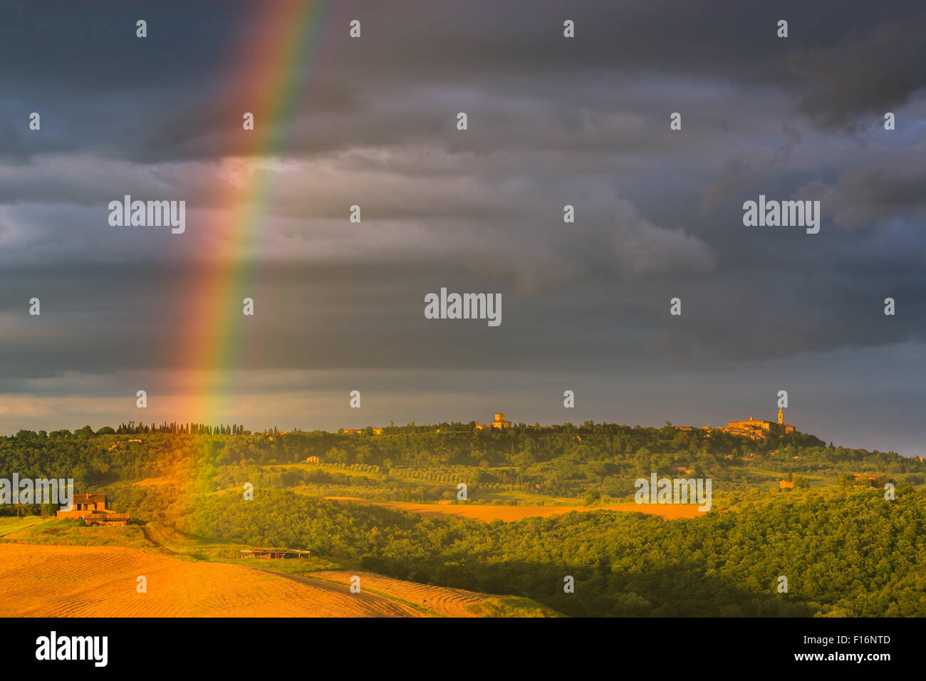 Rainbow con el famoso ciprés en el corazón de la Toscana, cerca de Pienza, Italia Foto de stock
