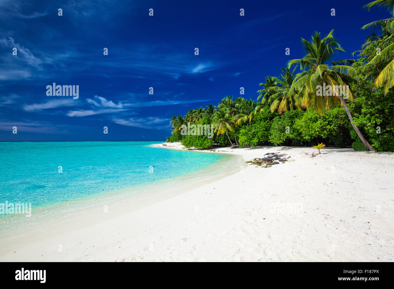 La increíble playa en una isla tropical con palmeras sobresaliendo por laguna Foto de stock