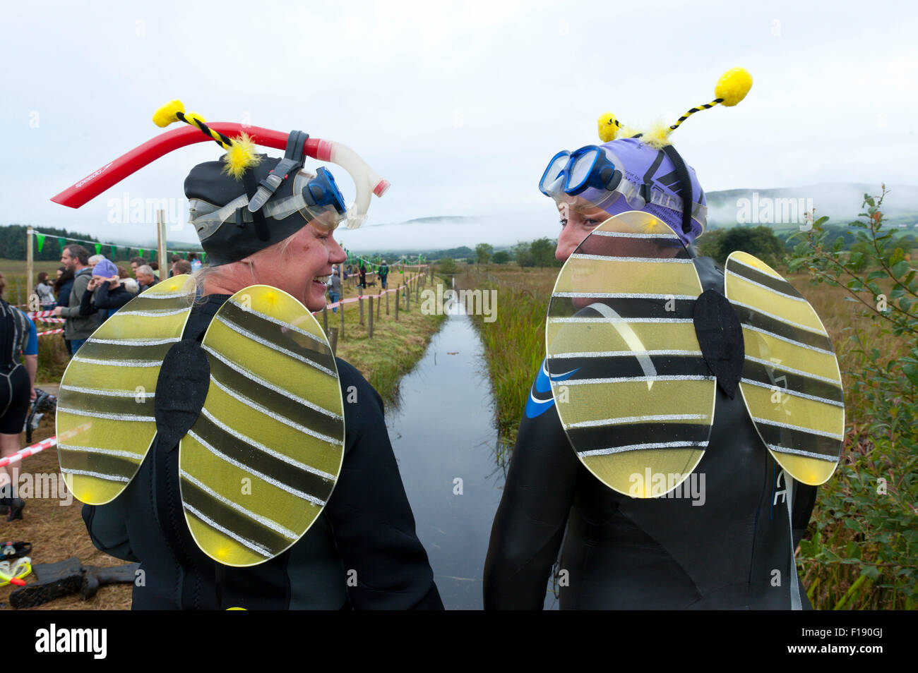 Llanwrtyd Wells, Reino Unido. El 30 de agosto, 2015. Jane PowellJones