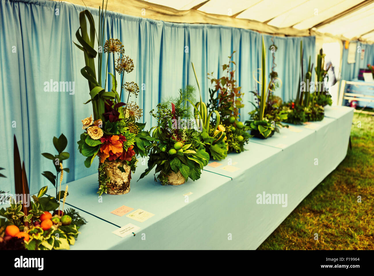Arreglos florales premio exhibe Foto de stock