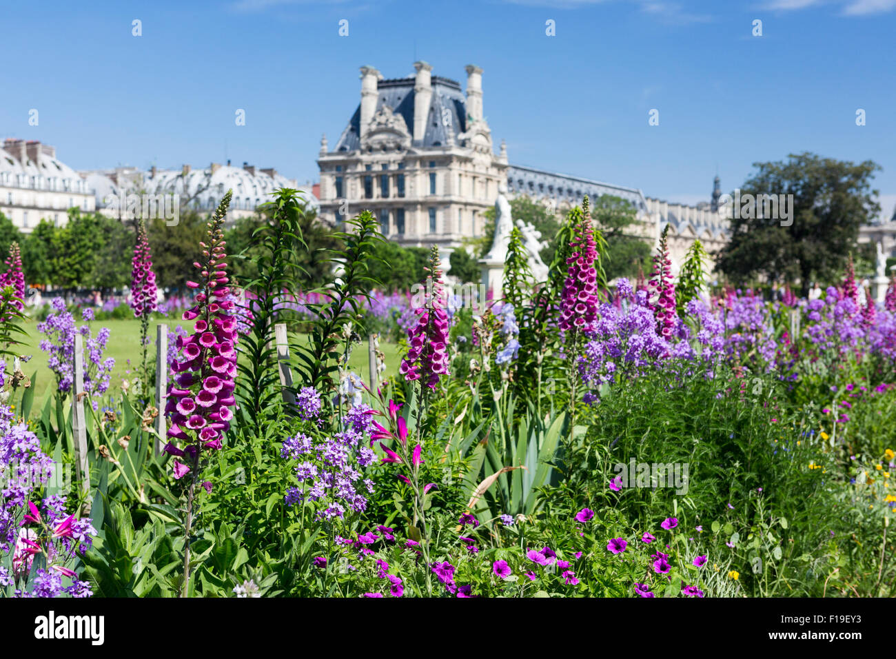 La primavera en París: cama con flores y foxglove - flores en el jardín con Tuilleries Louvre en la distancia Foto de stock