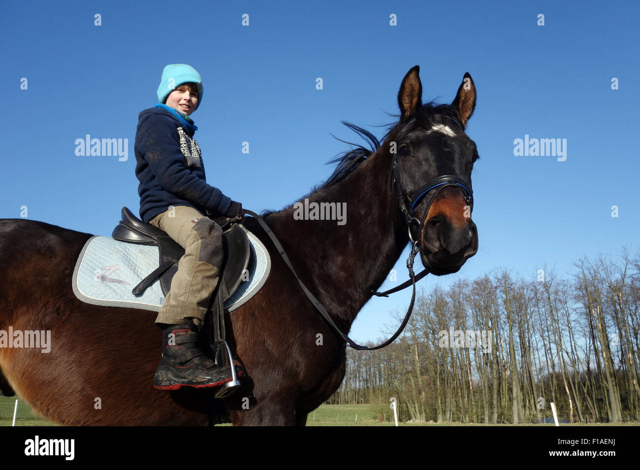 Nueva Kätwin, Alemania, muchacho sentado sobre un caballo sin casco Foto de stock