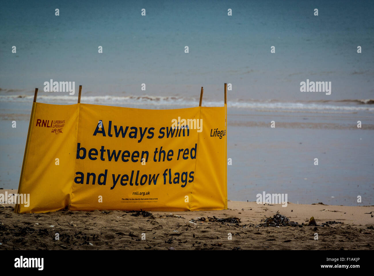 Siempre nade entre las banderas rojas y amarillas firmar en la playa Foto de stock