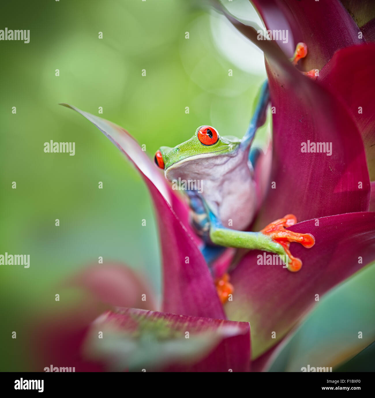 My Image 10