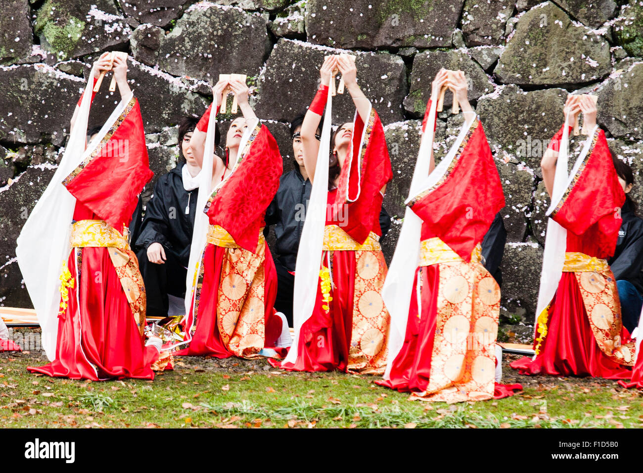 Equipo de danza yosakoi japoneses bailando en frente del castillo de muro  de piedra. Vestidos de rojo happi abrigos con largas mangas blancas y  celebración naruko, tablillas de madera Fotografía de stock -