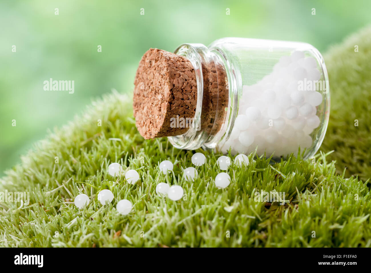 Botella de homeopatía glóbulos en musgo verde Foto de stock