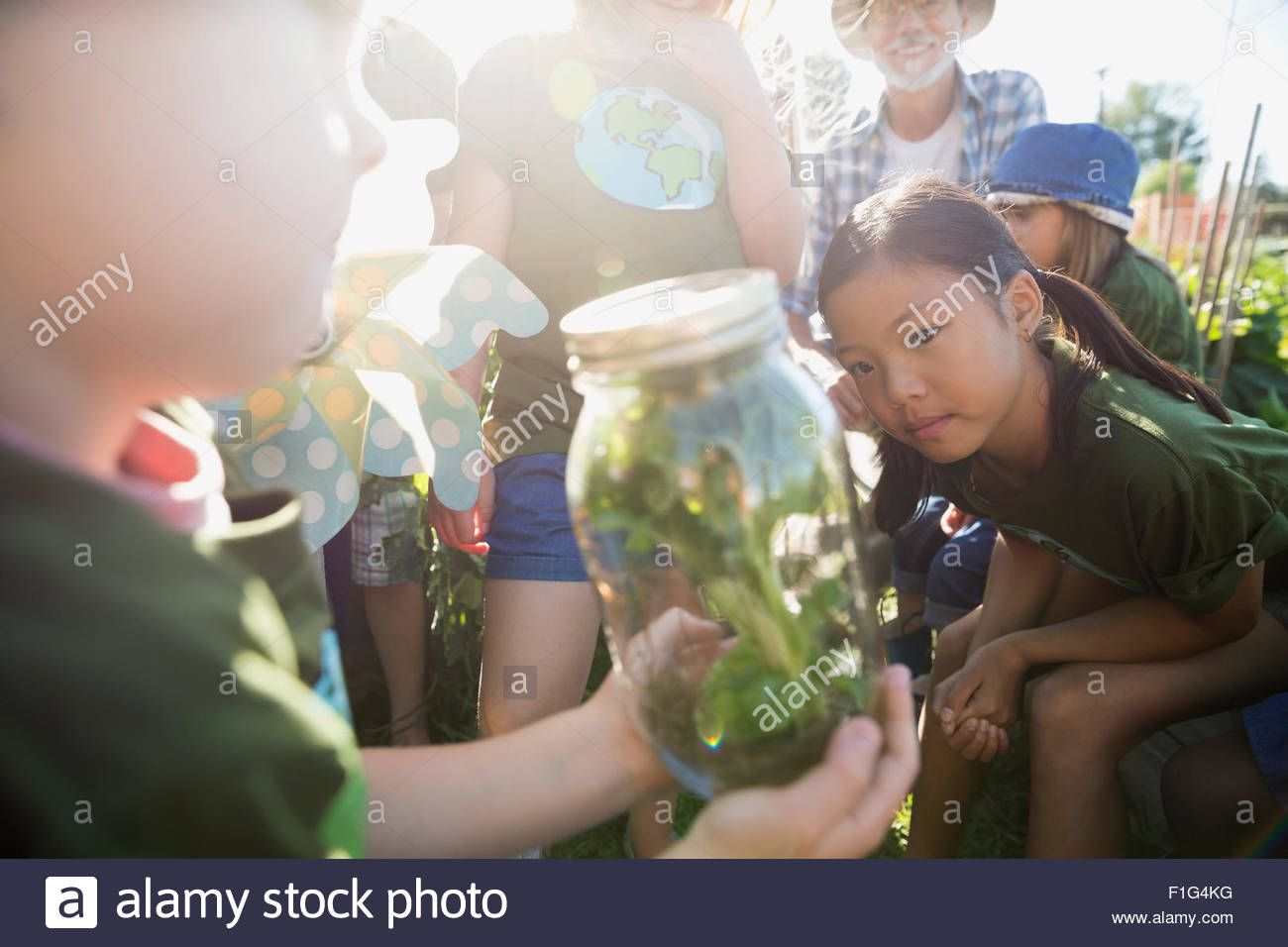 Los niños examen de planta en frasco en el soleado jardín Foto de stock
