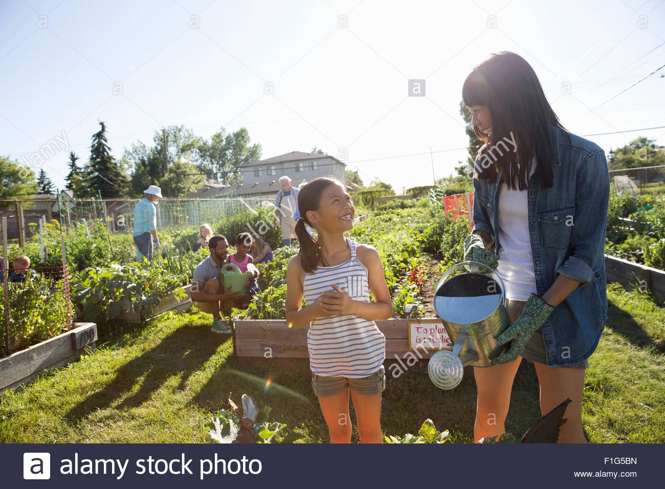 Madre e hija regar las plantas de jardines comunitarios Foto de stock
